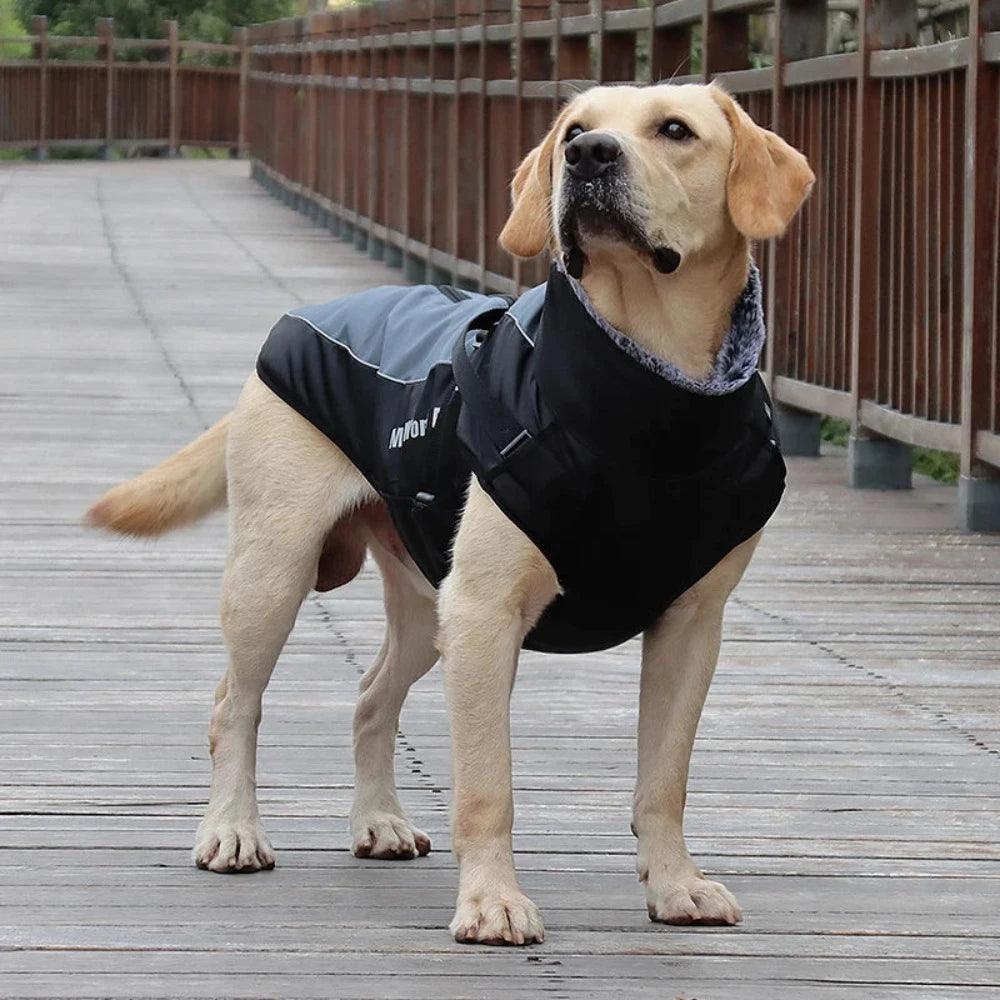 'My World My Rules' Back Clip Winter Harness Vest Jacket - PetTagCollars.com