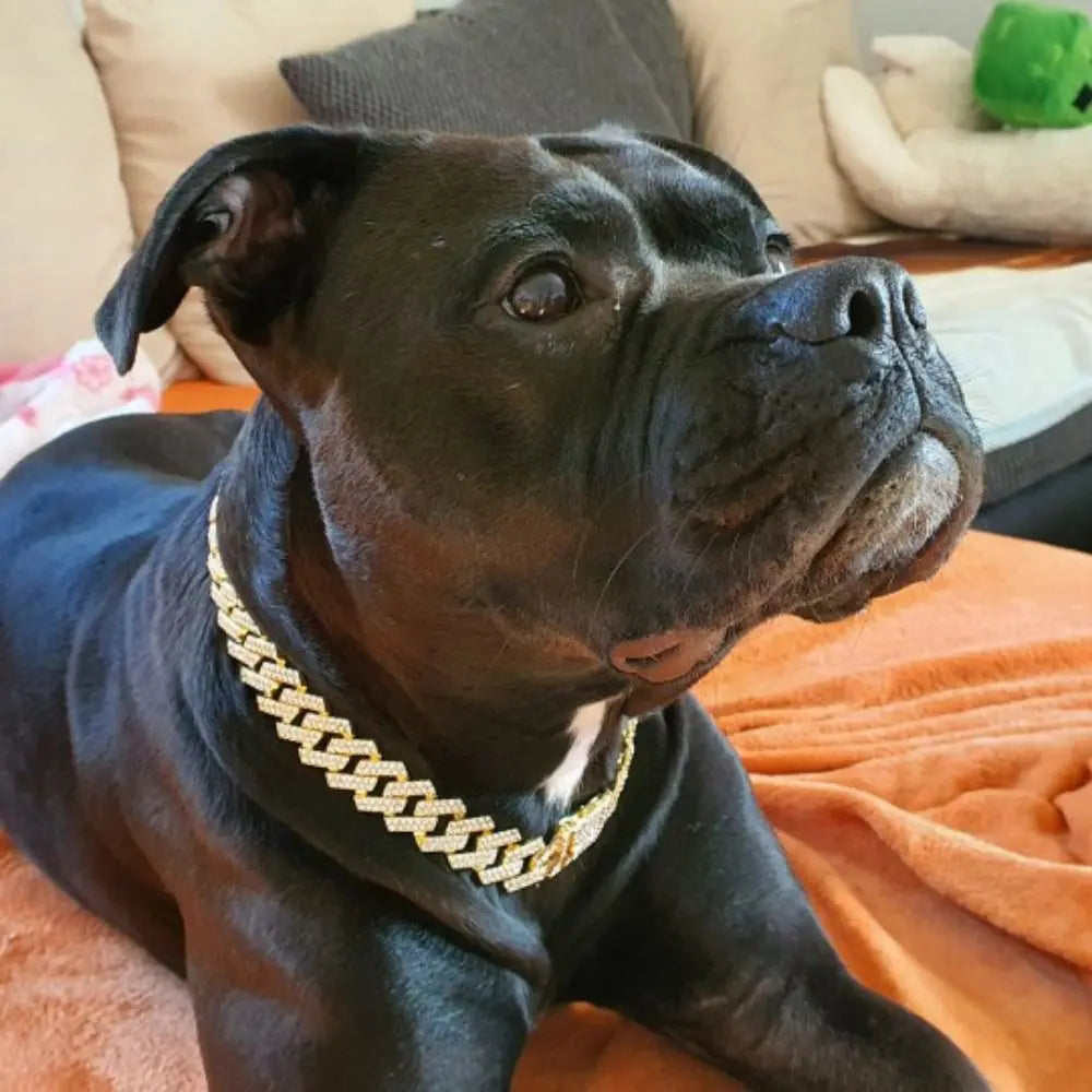 Hip-Hop Bling Bling Cuban Link Decorative Dog Collar