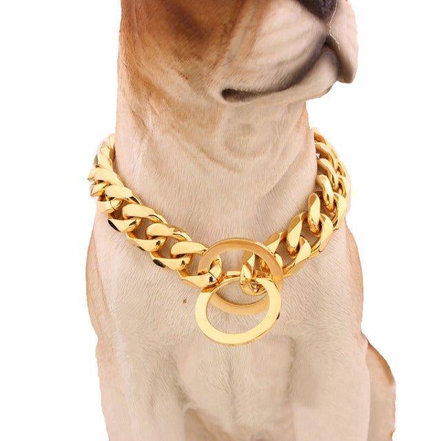 Beautiful 15mm Curb Chain Dog Collar - 3: FancyPetTags.com