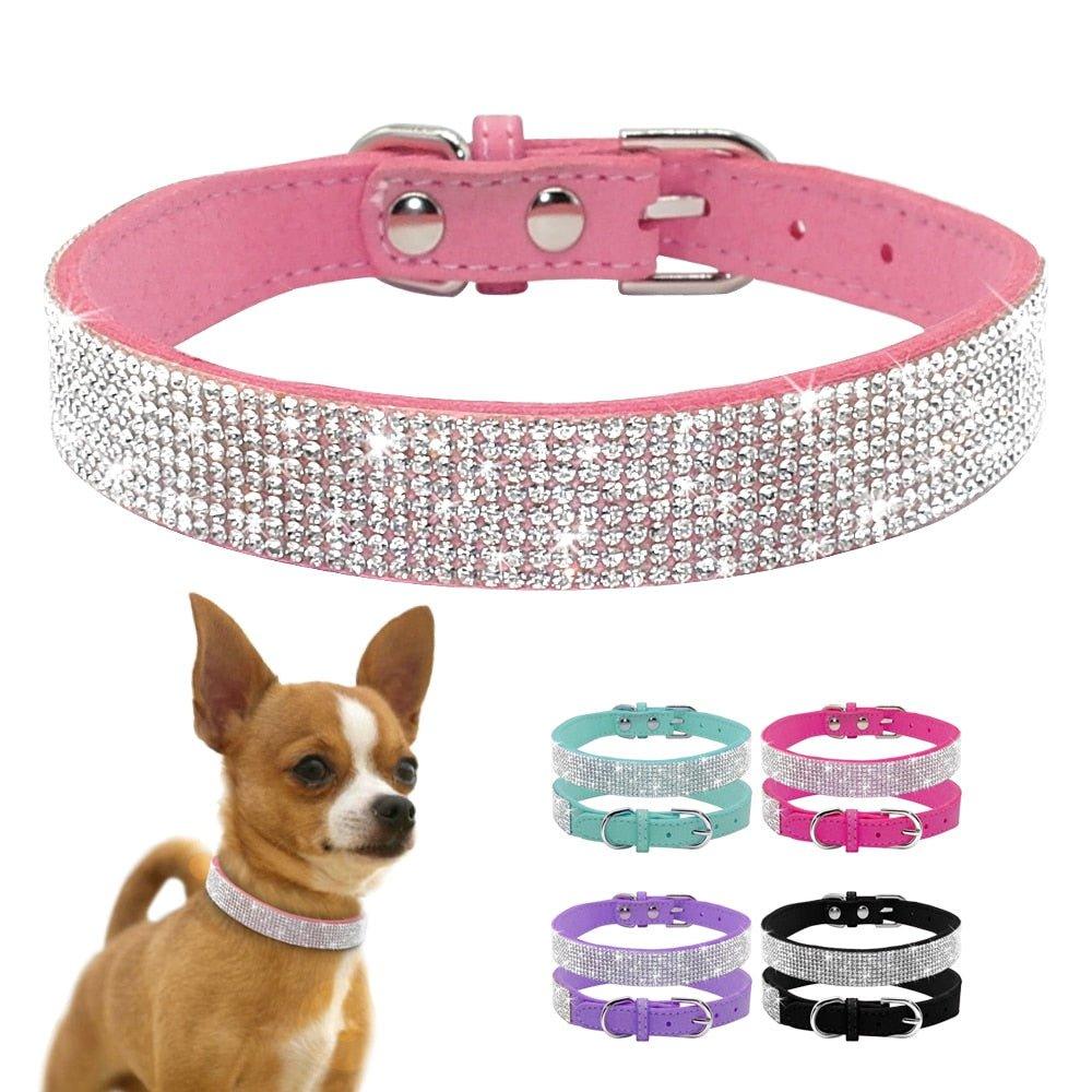 Bling Bling Leather Collar Haoyeer