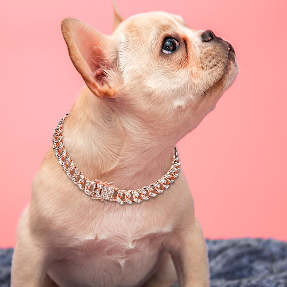 Bling Bling Miami Cuban Link Decorative Collar - 3: FancyPetTags.com