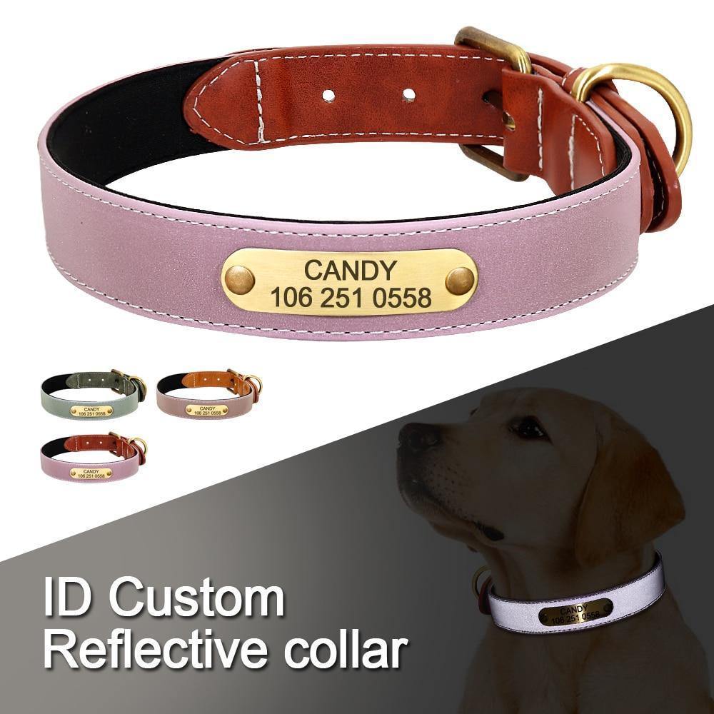 DiDog Elegance Genuine Leather Custom Collar - www.FancyPetTags.com