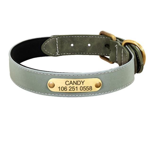 DiDog Elegance Genuine Leather Custom Collar - www.FancyPetTags.com