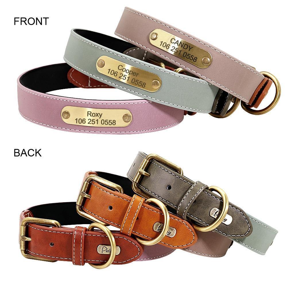 DiDog Elegance Genuine Leather Custom Collar - www.FancyPetTags.com