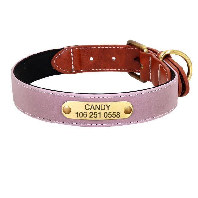 DiDog Elegance Genuine Leather Custom Collar - www.FancyPetTags.com