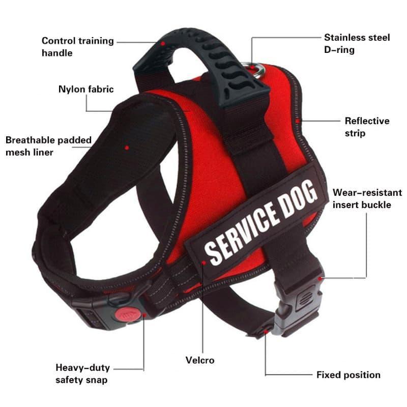 K9 Personalized Lift Handle Back Clip Harness Vest - 7: FancyPetTags.com