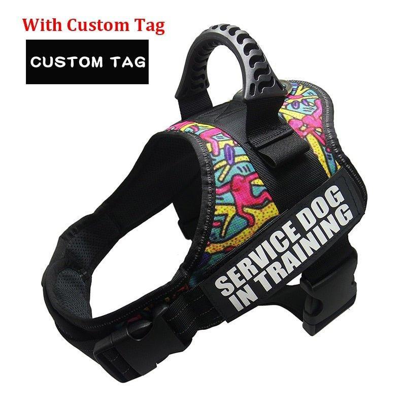 K9 Personalized Lift Handle Back Clip Harness Vest - 14: FancyPetTags.com