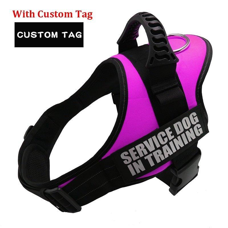 K9 Personalized Lift Handle Back Clip Harness Vest - 18: FancyPetTags.com