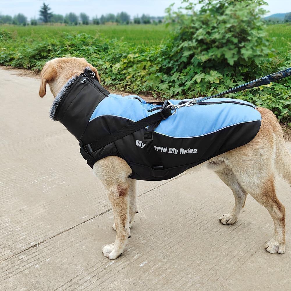 'My World My Life' No Pull Winter Harness Vest Jacket - 2: www.FancyPetTags.com