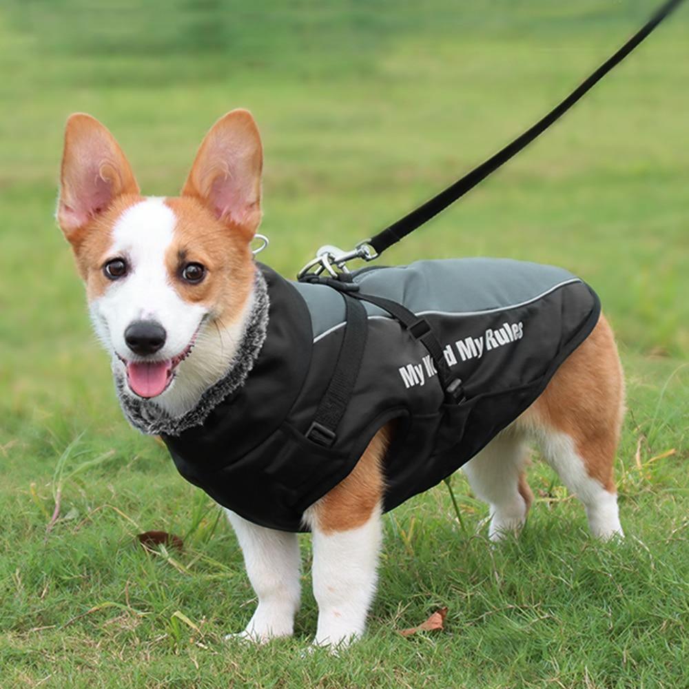 'My World My Life' No Pull Winter Harness Vest Jacket - 4: www.FancyPetTags.com